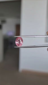 natural padparadscha sapphire 3.02carat Stellar Fields