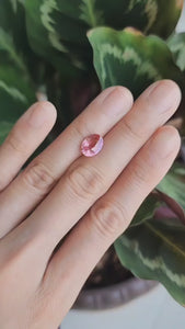 padparadscha sapphire oval cut 3.02carat Stellar Fields